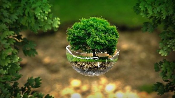 Pourquoi réserver pour sa famille un séjour dans un camping écologique ?